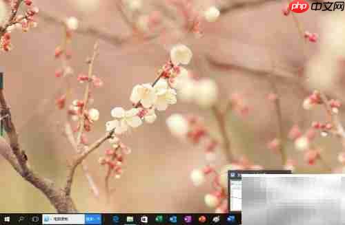 永中Office隐藏页码方法