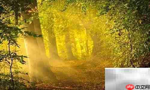 小学英语面试Read&Write试讲