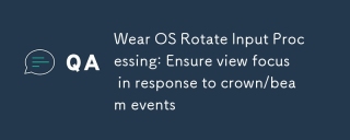 Wear OS 旋轉輸入處理:確保視圖焦點以響應表冠/表圈事件