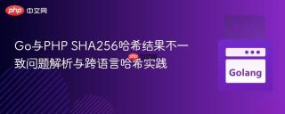 Go与PHP SHA256哈希结果不一致问题解析与跨语言哈希实践