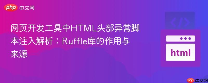网页开发工具中HTML头部异常脚本注入解析:Ruffle库的作用与来源