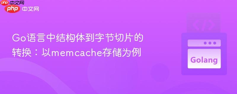 Go语言中结构体到字节切片的转换:以memcache存储为例