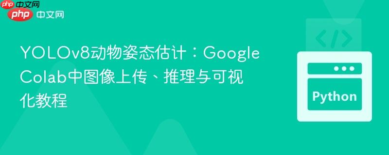 YOLOv8动物姿态估计:Google Colab中图像上传、推理与可视化教程