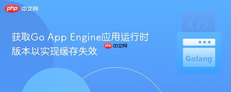 获取go app engine应用运行时版本以实现缓存失效
