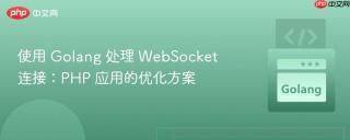 使用 Golang 处理 WebSocket 连接：PHP 应用的优化方案