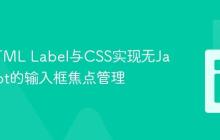 利用HTML Label与CSS实现无JavaScript的输入框焦点管理