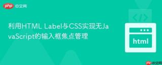 利用HTML Label与CSS实现无JavaScript的输入框焦点管理