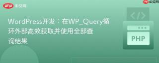 WordPress开发:在WP_Query循环外部高效获取并使用全部查询结果