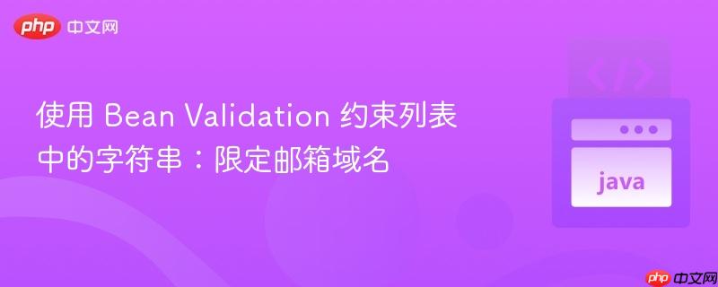 使用 bean validation 约束列表中的字符串:限定邮箱域名