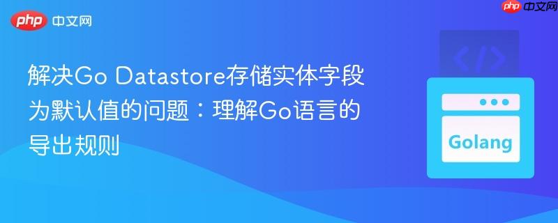 解决Go Datastore存储实体字段为默认值的问题：理解Go语言的导出规则