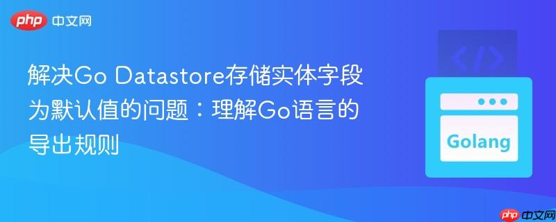 解决Go Datastore存储实体字段为默认值的问题：理解Go语言的导出规则
