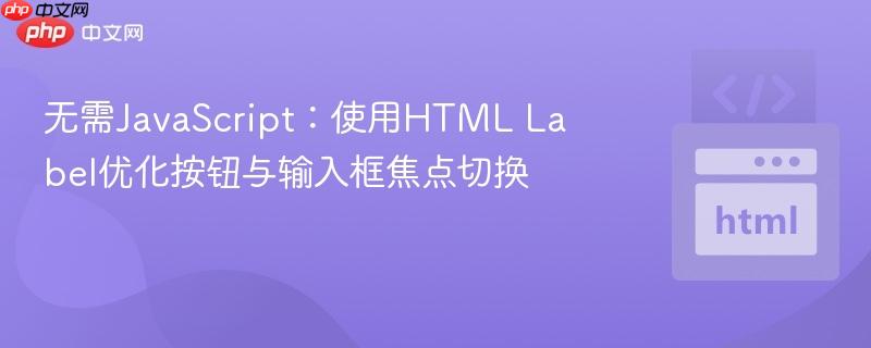 无需JavaScript：使用HTML Label优化按钮与输入框焦点切换