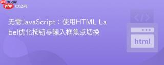 无需JavaScript：使用HTML Label优化按钮与输入框焦点切换