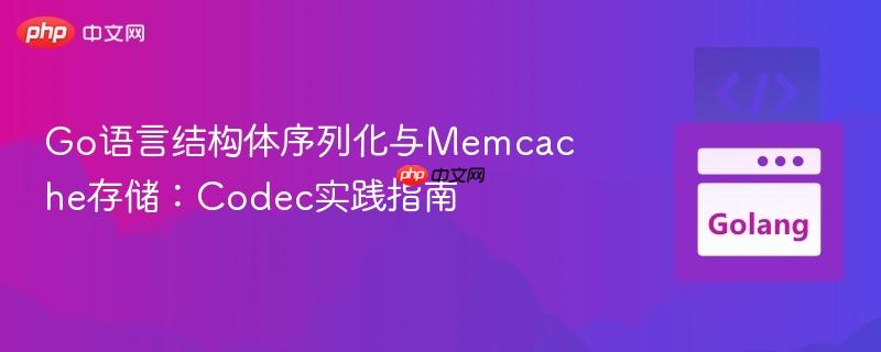 Go语言结构体序列化与Memcache存储:Codec实践指南