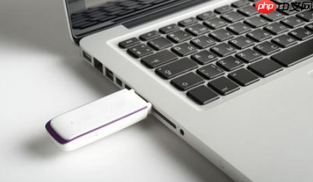 Win10系统u盘读不出来怎么办?