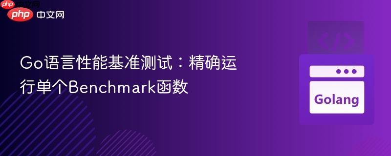 Go语言性能基准测试:精确运行单个Benchmark函数