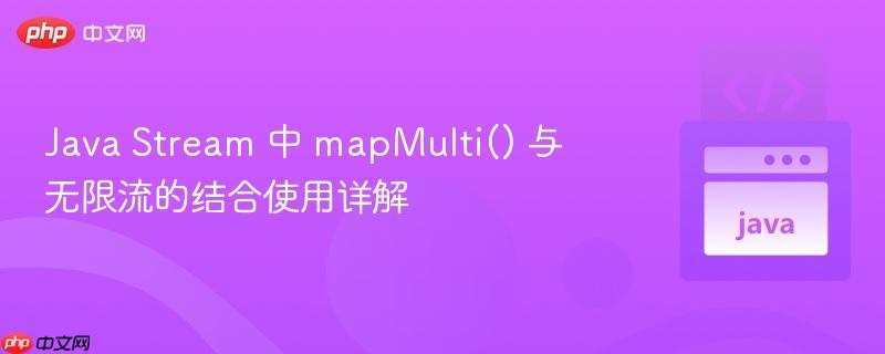 java stream 中 mapmulti() 与无限流的结合使用详解