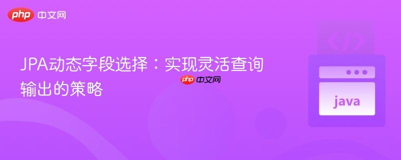 JPA动态字段选择：实现灵活查询输出的策略