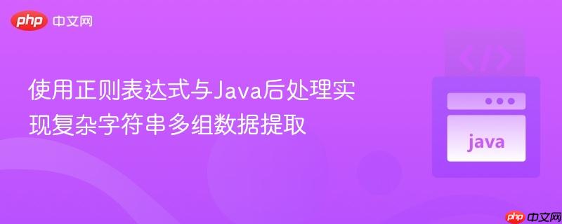 使用正则表达式与Java后处理实现复杂字符串多组数据提取