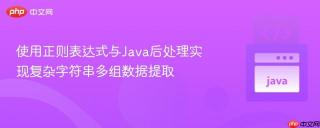 使用正则表达式与Java后处理实现复杂字符串多组数据提取