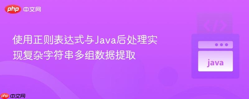 使用正则表达式与Java后处理实现复杂字符串多组数据提取

