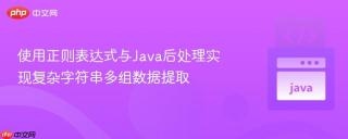 使用正则表达式与Java后处理实现复杂字符串多组数据提取