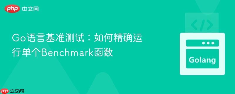 Go语言基准测试:如何精确运行单个Benchmark函数