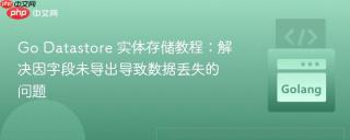 Go Datastore 实体存储教程：解决因字段未导出导致数据丢失的问题