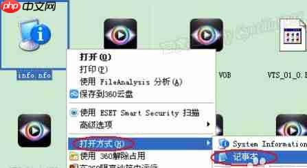 nfo文件怎么打开?