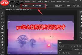 ps如何裁剪图片为固定尺寸
