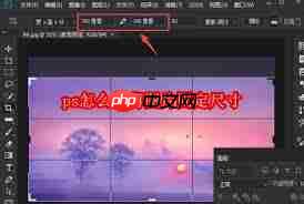 ps如何裁剪图片为固定尺寸