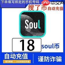 Soul好友申请未通过如何解决