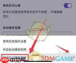 Canva可画如何设置自动播放视频