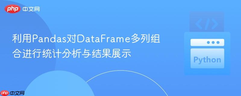 利用Pandas对DataFrame多列组合进行统计分析与结果展示