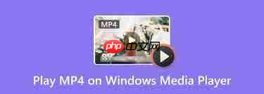 windows media player怎么播放mp4