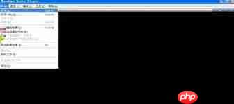 windows media player怎么播放mp4