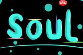 Soul阅后即焚功能为何找不到了