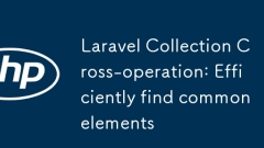 Laravel コレクションのクロス操作: 共通要素を効率的に見つける