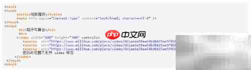 HTML视频元素使用指南