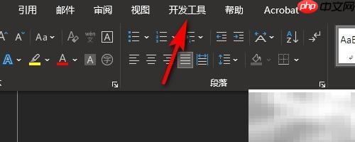Word单选控件内容不全解决方法