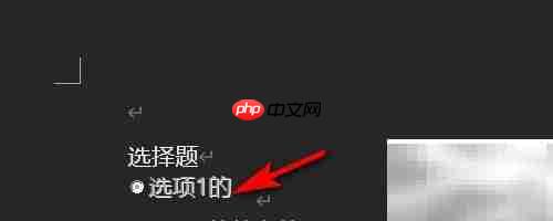 Word单选控件内容不全解决方法