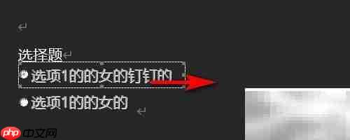 Word单选控件内容不全解决方法