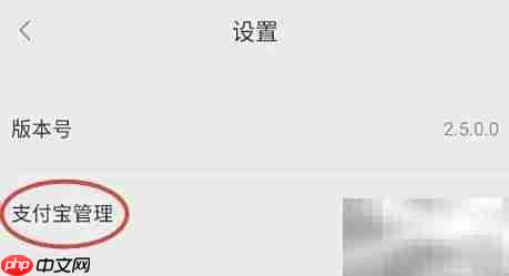 欢聊交友如何绑定支付宝