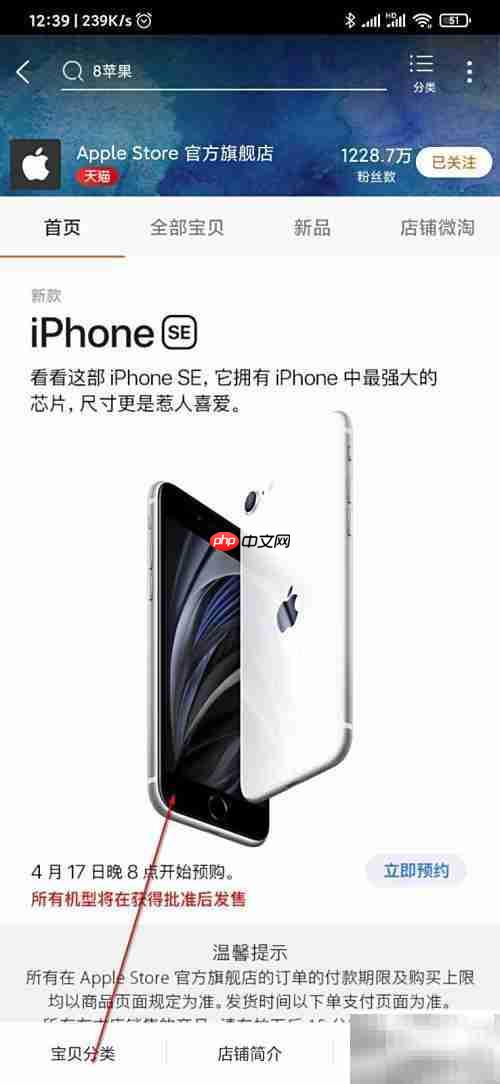iPhone SE购买指南