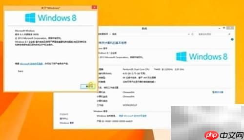 Windows 8.1 ISO下载指南