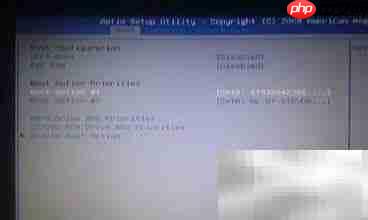 BIOS设置入门指南