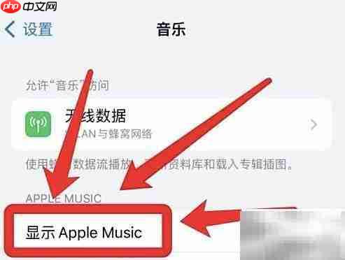 iPhone如何显示音乐