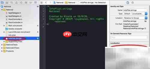 iOS项目国际化实践
