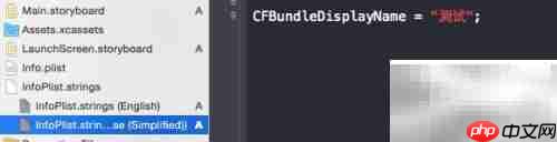 iOS项目国际化实践