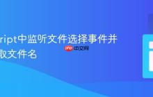 JavaScript中监听文件选择事件并实时获取文件名